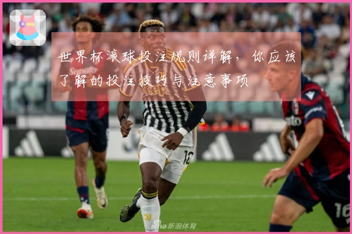世界杯滚球投注规则详解，你应该了解的投注技巧与注意事项
