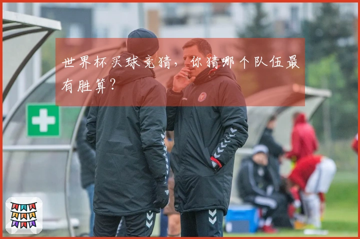 世界杯买球竞猜，你猜哪个队伍最有胜算？