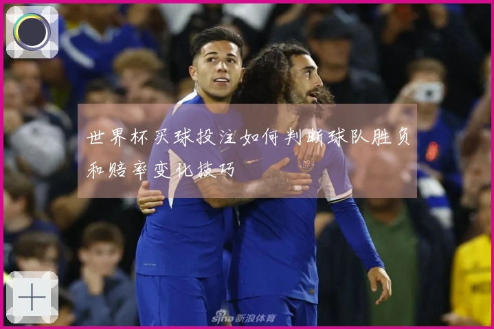 世界杯买球投注如何判断球队胜负和赔率变化技巧