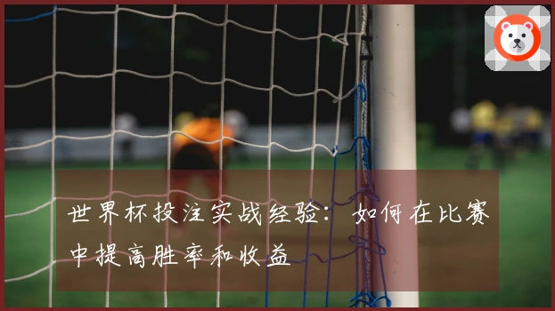 世界杯投注实战经验：如何在比赛中提高胜率和收益