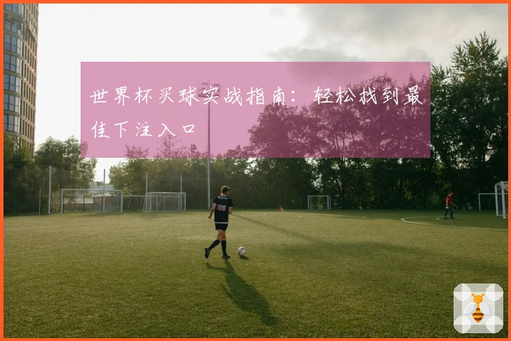 世界杯买球实战指南：轻松找到最佳下注入口