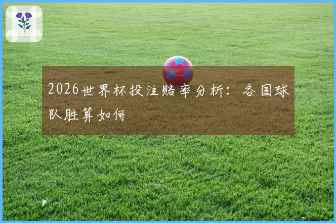 2026世界杯投注赔率分析：各国球队胜算如何