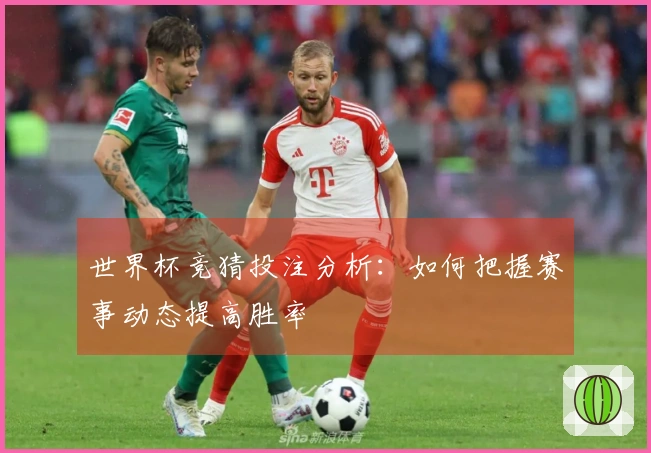 世界杯竞猜投注分析：如何把握赛事动态提高胜率