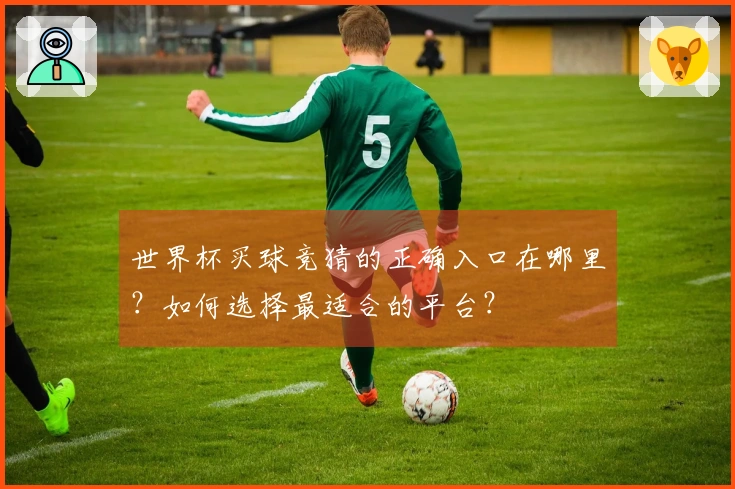 世界杯买球竞猜的正确入口在哪里？如何选择最适合的平台？